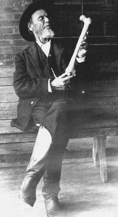 Andrew Taylor Still (1828-1917) Andrew Taylor Still (1828-1917)